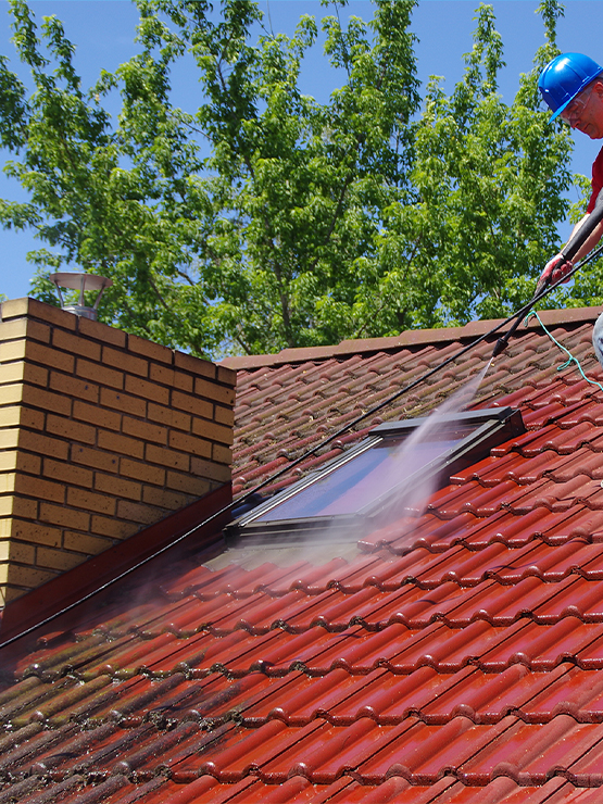 Trusted Roof Cleaning Company Near You in San Antonio, TX